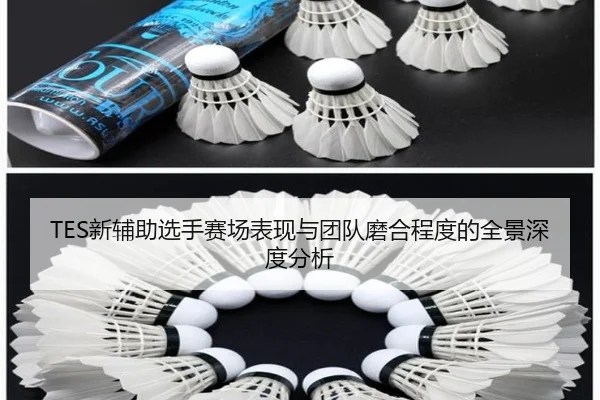 TES新辅助选手赛场表现与团队磨合程度的全景深度分析